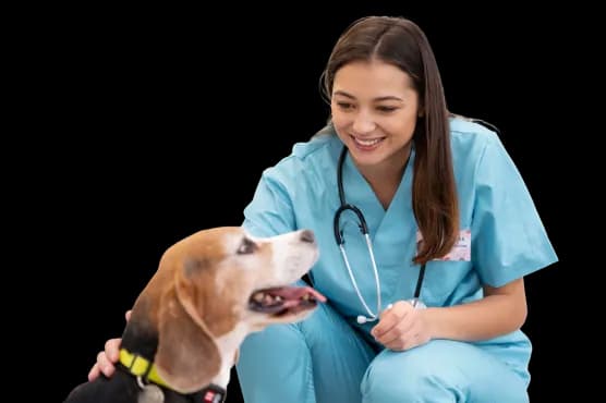Professional Care